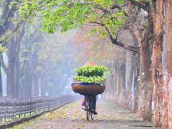 HANOI – DANANG/HOIAN – HOCHIMINH 9D8N