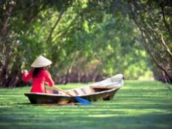 HOCHIMINH – CUCHI TUNNEL – MYTHO  4D3N