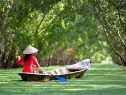HANOI – HOCHIMINH – MYTHO 7D6N