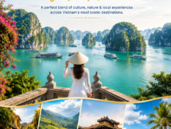 PACKAGE VIET NAM