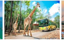 Original destination images from PQ-0403 SIC tour program